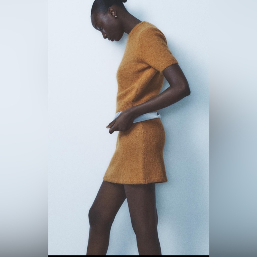 Zara alpahaca & wool blend mini skirt - Picture 6 of 9